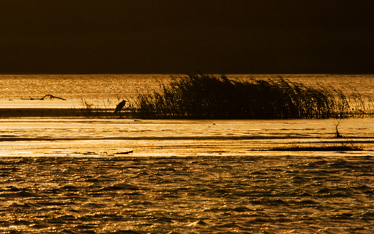 the river at St Lucia, Kwazulu-Natal