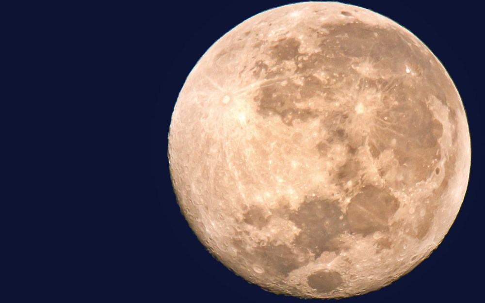 How small we are, how little we know....