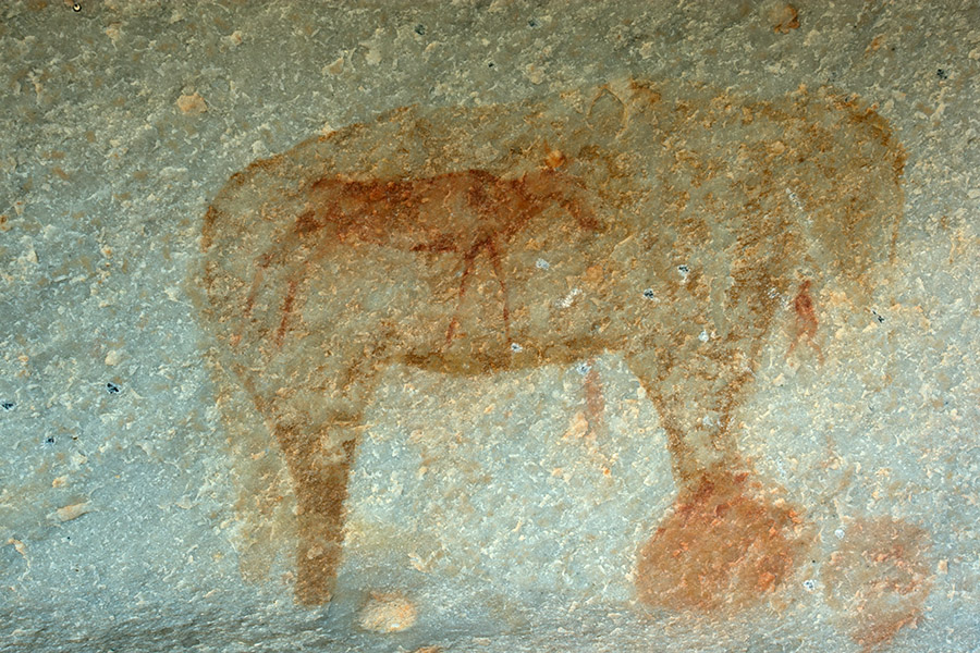 Many life times ago there were people in the Kagga Kamma using the beautiful rocky landscape as a canvas. Onto these smooth walls they poured out their perceptions of every day life, a prayer to the spirit world, or presentations for teaching their young ones. Looking at these photographs leaves me curious; connected to them through a stream of natural inspiration and adrift in unknown meaning simultaneously. Life and death is. 