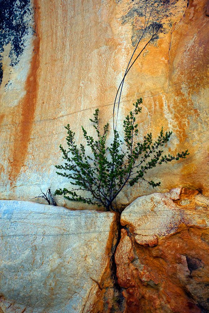 Kagga_Kamma_Arrangement