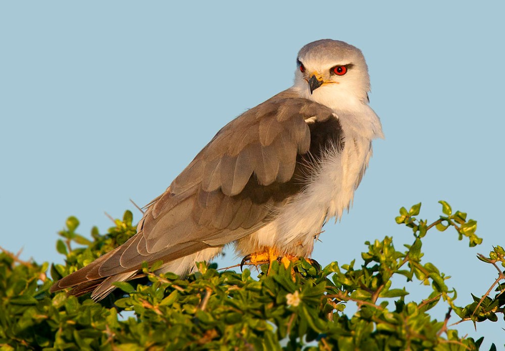 2016_07_02_WCNP_0488