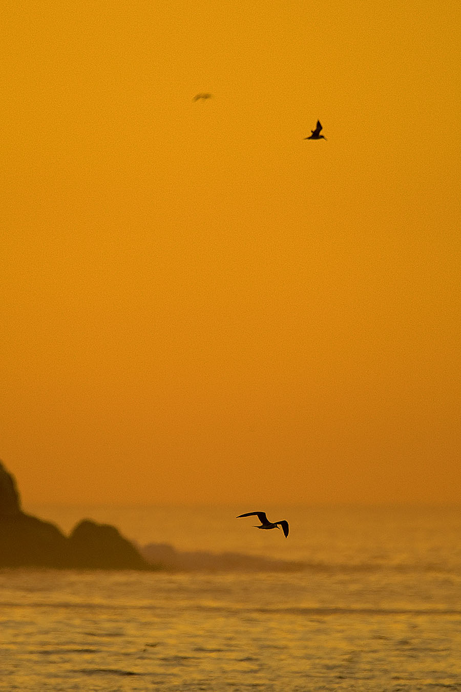 Meeurots_sunset_HdeKlerk_Yzerfontein