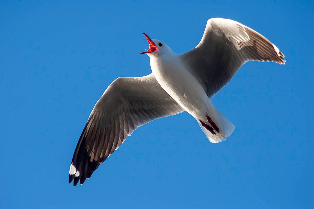 Last_Sun_Hartlaubs_HdeKlerk_Yzerfontein