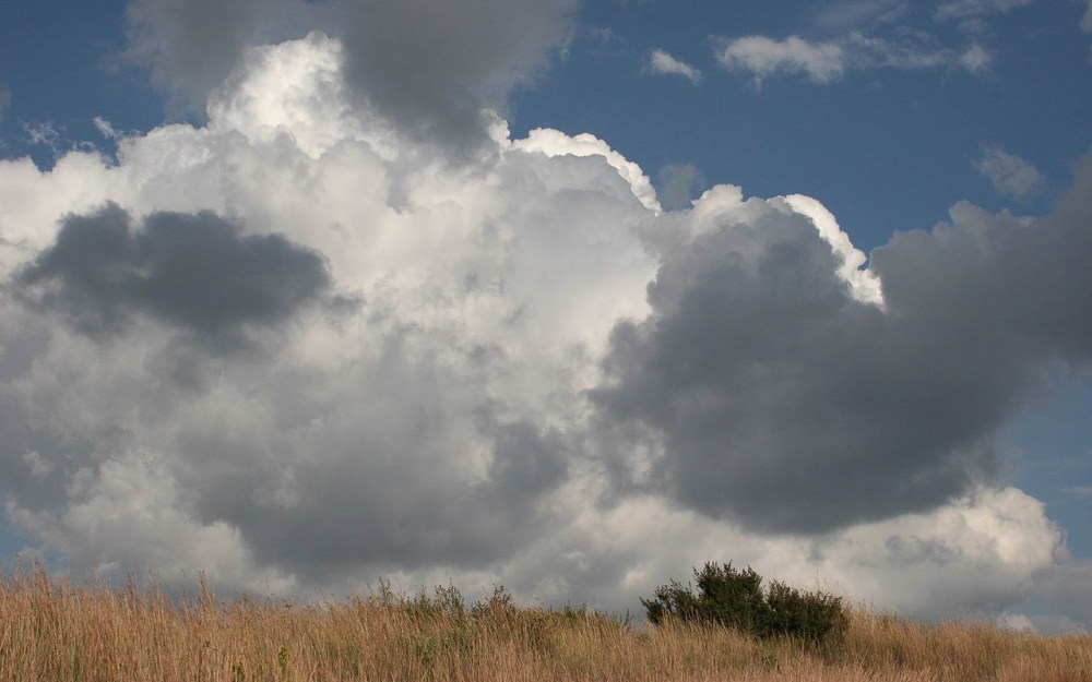 suikerbosrand17042005 001