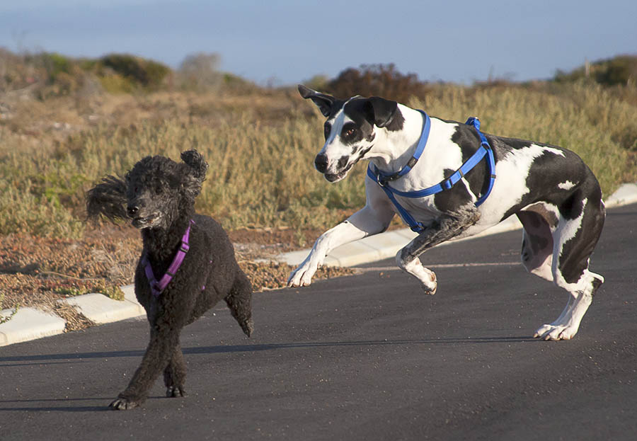 2016_12_27_sarah_baillie_4051