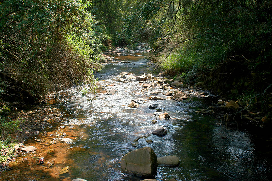 botgrdns11apr2005-002