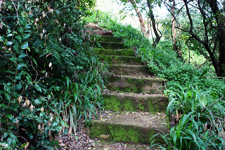 botgrdns11apr2005-060