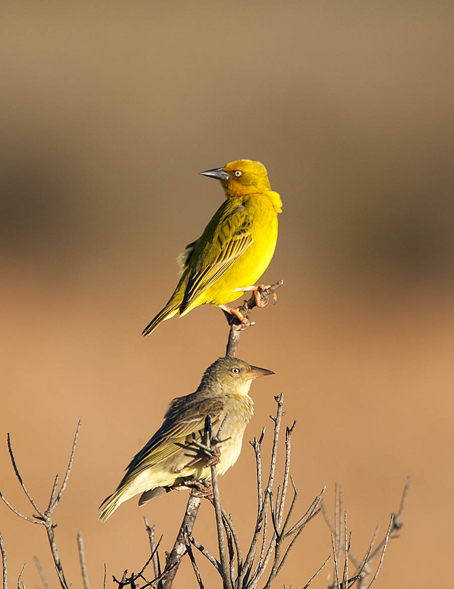 Got_your_back_WCNP_6509-2