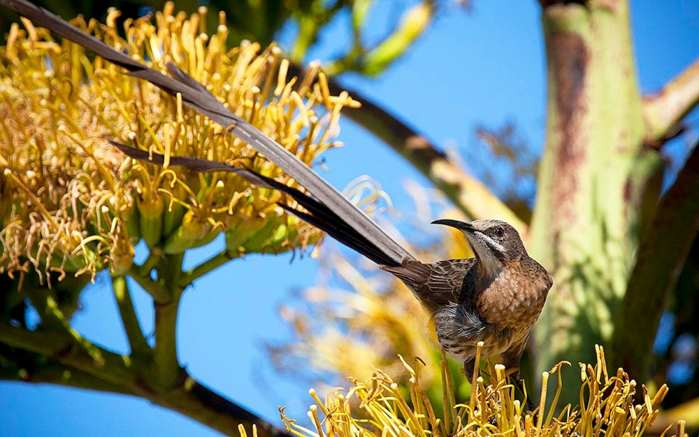 2018_02_26_Home_9533