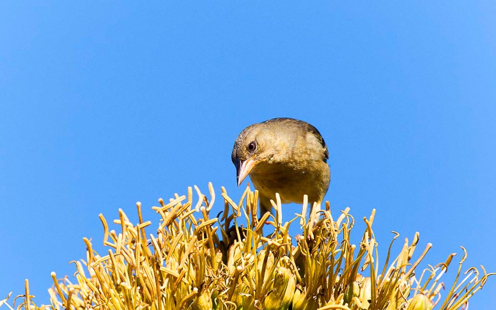 2018_02_26_Home_9630