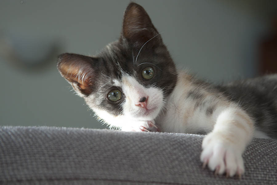 2018_05_21_Those_who_put_up_with_you_Liebowitch_0858