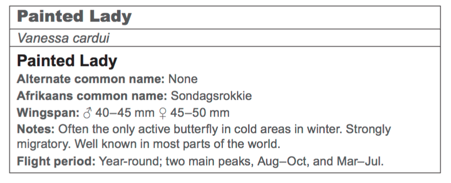 Screen Shot 2018-10-25 at 7.59.01 AM