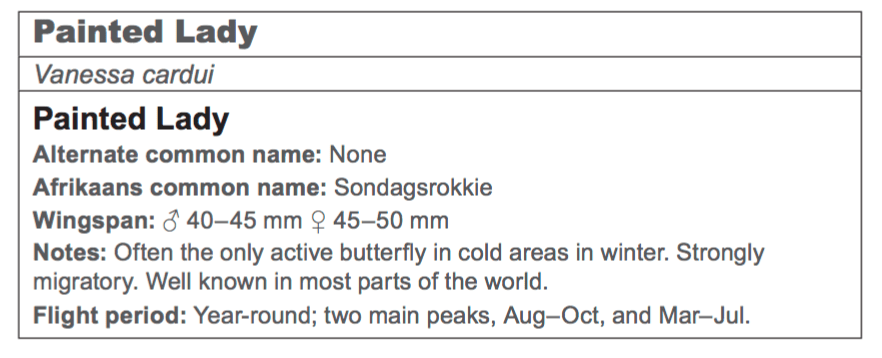 Screen Shot 2018-10-25 at 7.59.01 AM