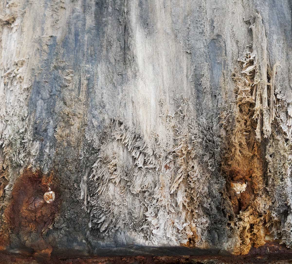 2019_02_26_the_aging_gaze