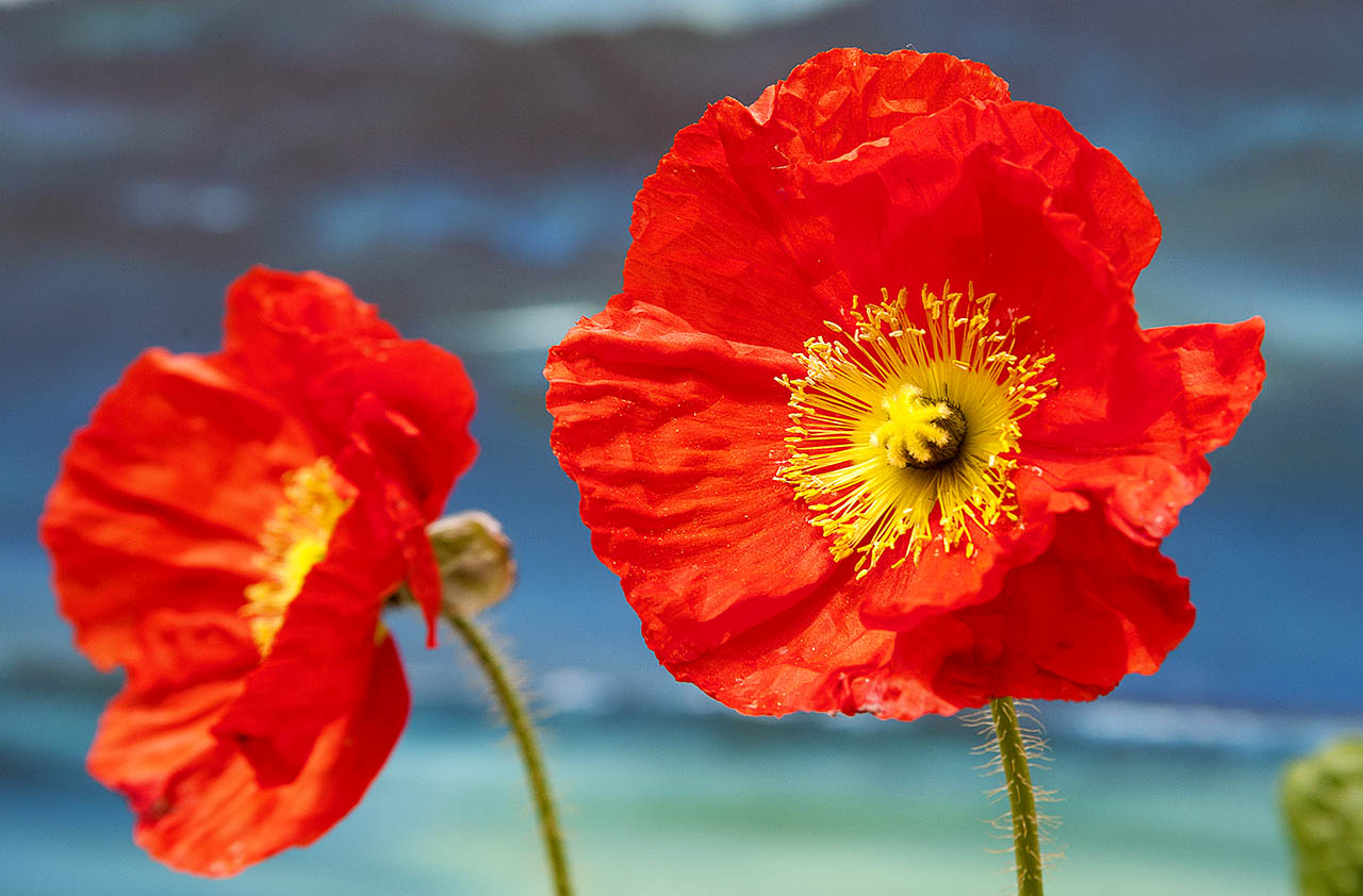 2019_09_28_29_KZN_4031